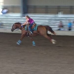 Meet your Posher, Tasha